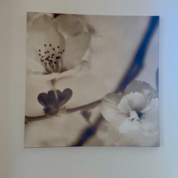 FLORA MAIA PICTURE SET IKEA PJATTERYD 22”x22”x 2"  Cherry Blossom Canvas - Picture 2 of 6